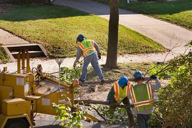 Best Lawn Irrigation Installation and Maintenance  in Bryant, AR